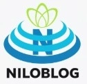   ولایت عشق